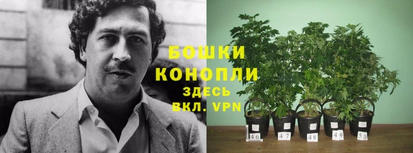 шишки Абдулино