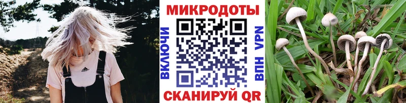 Галлюциногенные грибы ЛСД  даркнет сайт  кракен ТОР  Тутаев 
